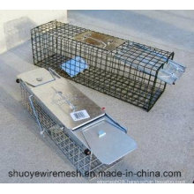 Humane Rabbit Rat Mink Grey Squirrel Small Raccoon Possum Cat Folding Live Animal Cage Trap